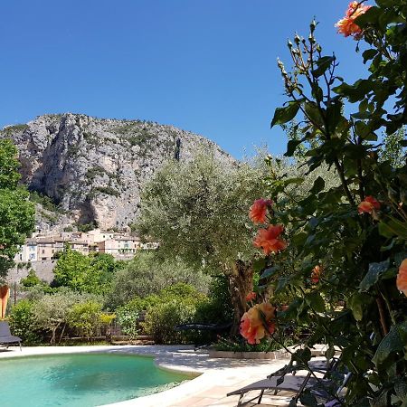 Bastide Des Oliviers Bed and Breakfast Moustiers-Sainte-Marie Eksteriør billede